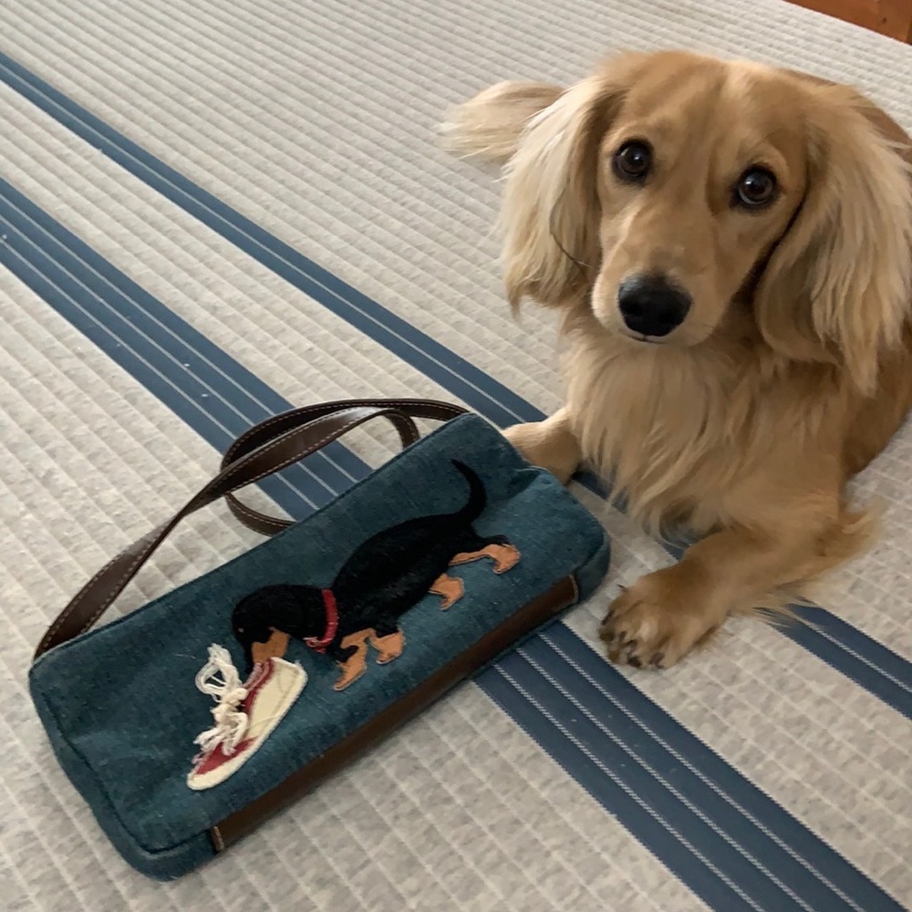 Small purse